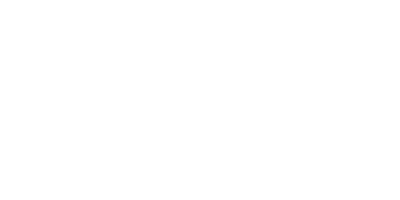 Riva Motors logo